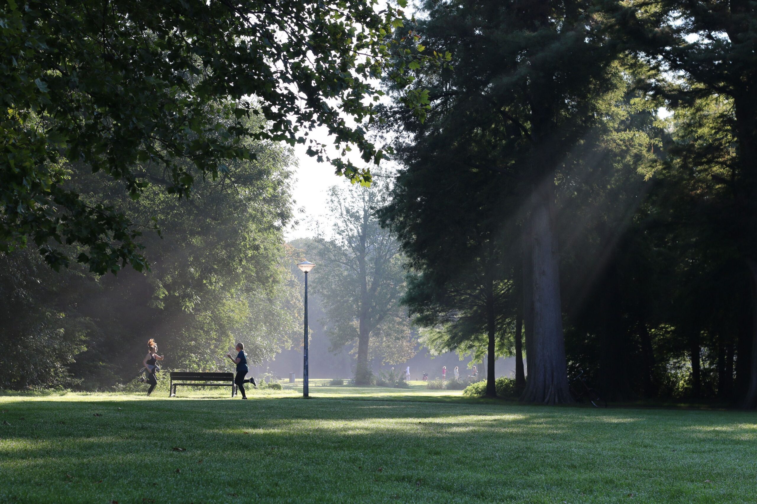 6336a92140a44623b03a52e8_kingslane_ligging_13-p-3200-1